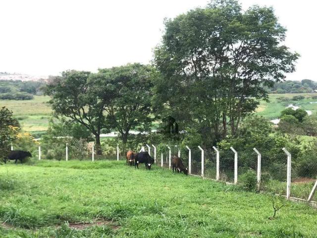 Sítio e chácara venda em Região Imediata de Campinas, Região Metropolitana de Campinas