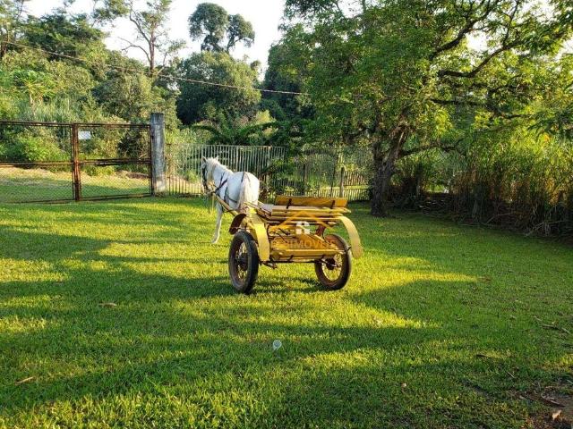 Sítio e chácara venda em Região Imediata de Campinas, Região Metropolitana de Campinas