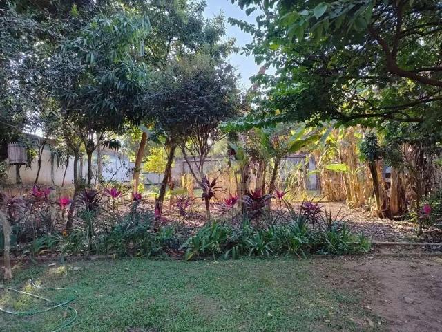 Sítio e chácara venda em Região Imediata de Campinas, Região Metropolitana de Campinas