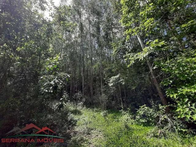 Sítio e chácara venda em Região Geográfica Imediata de Caxias do Sul, Nova Petrópolis
