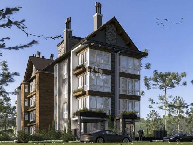 Sítio e chácara venda em Região Geográfica Imediata de Caxias do Sul, Nova Petrópolis