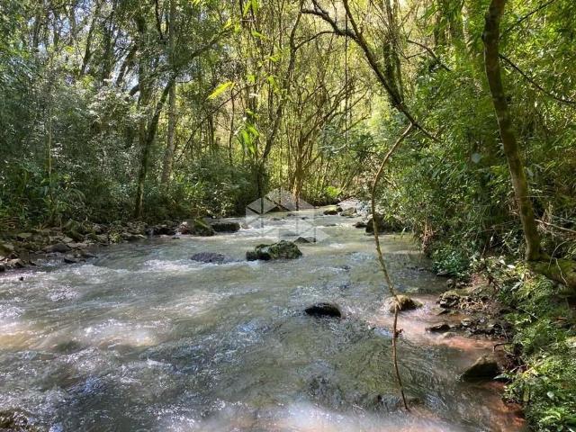 Sítio e chácara venda em Região Geográfica Imediata de Caxias do Sul, Nova Petrópolis