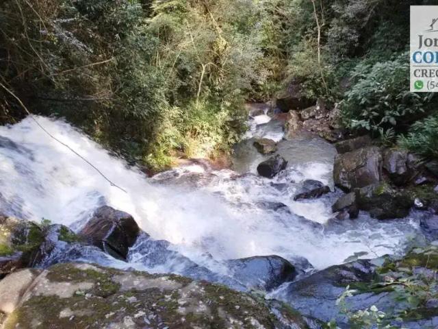 Sítio e chácara venda em Região Geográfica Imediata de Caxias do Sul, Nova Petrópolis
