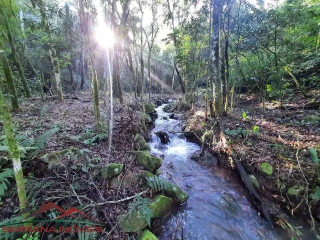 Sítio e chácara venda em Região Geográfica Imediata de Caxias do Sul, Nova Petrópolis