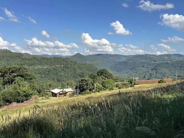Sítio e chácara venda em Região Geográfica Imediata de Caxias do Sul, Nova Petrópolis