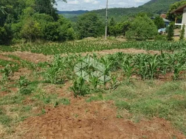 Sítio e chácara venda em Região Geográfica Imediata de Caxias do Sul, Nova Petrópolis