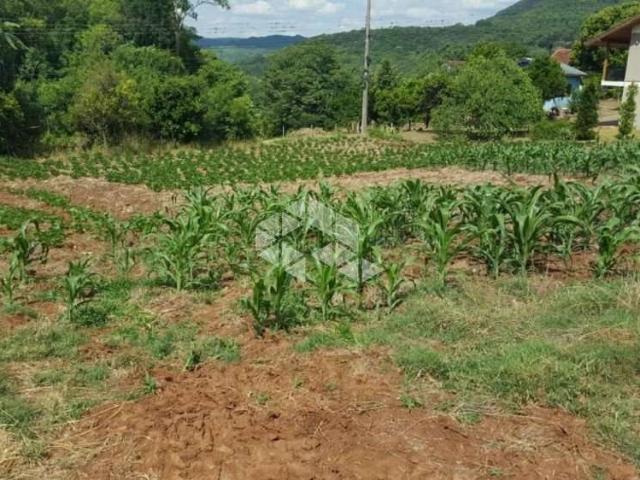 Sítio e chácara venda em Região Geográfica Imediata de Caxias do Sul, Nova Petrópolis