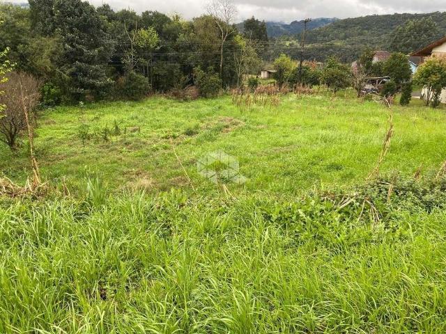 Sítio e chácara venda em Região Geográfica Imediata de Caxias do Sul, Nova Petrópolis