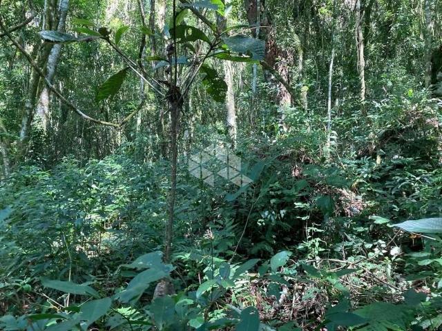 Sítio e chácara venda em Região Geográfica Imediata de Caxias do Sul, Nova Petrópolis
