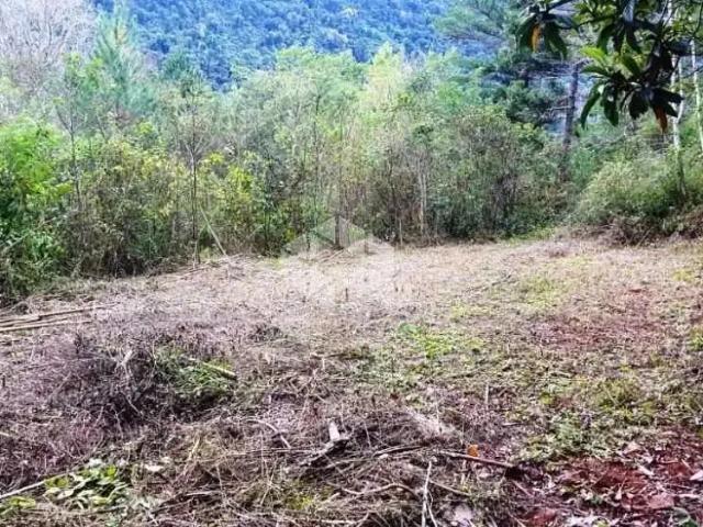 Sítio e chácara venda em Região Geográfica Imediata de Manaus, Itamarati