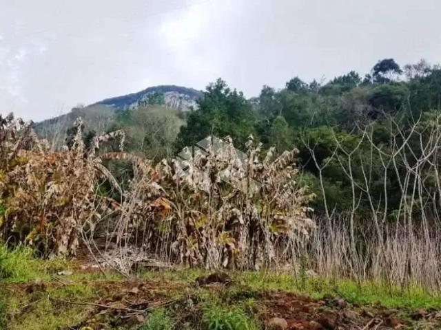 Sítio e chácara venda em Região Geográfica Imediata de Manaus, Itamarati