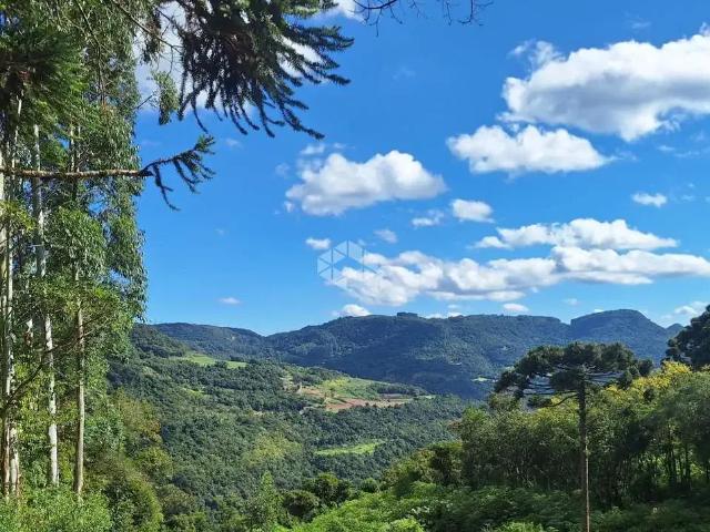 Sítio e chácara venda em Região Geográfica Imediata de Caxias do Sul, Nova Petrópolis
