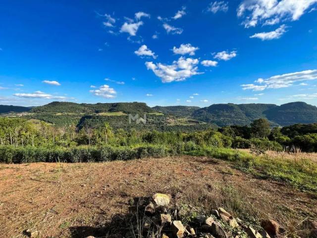 Sítio e chácara venda em Região Geográfica Imediata de Caxias do Sul, Nova Petrópolis