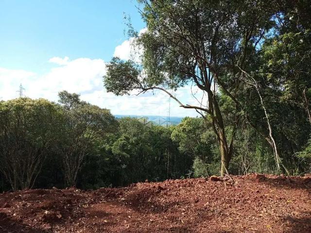 Sítio e chácara venda em Região Geográfica Imediata de Caxias do Sul, Nova Petrópolis