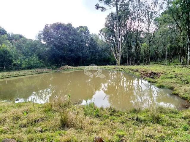 Sítio e chácara venda em Região Geográfica Imediata de Caxias do Sul, Nova Petrópolis
