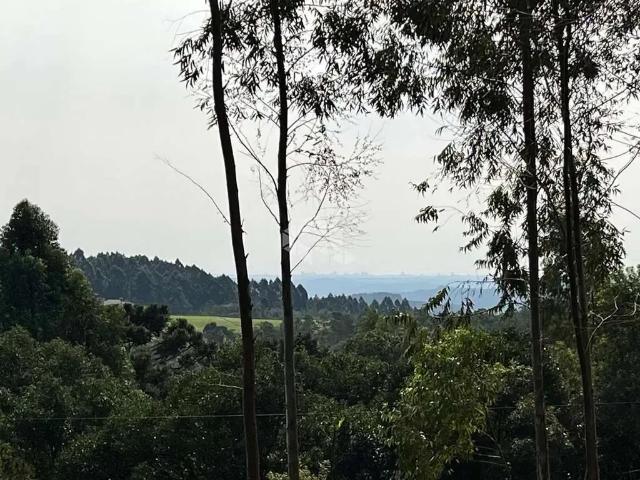 Sítio e chácara venda em Região Geográfica Imediata de Caxias do Sul, Nova Petrópolis