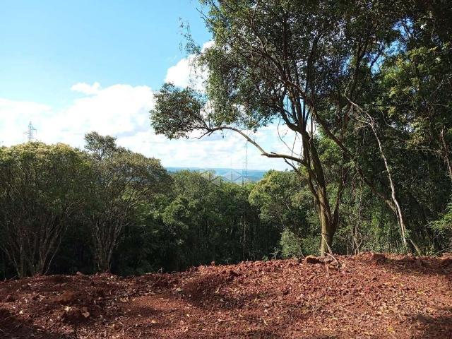 Sítio e chácara venda em Região Geográfica Imediata de Caxias do Sul, Nova Petrópolis