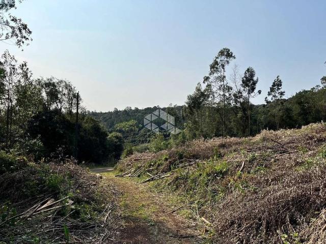 Sítio e chácara venda em Região Geográfica Imediata de Caxias do Sul, Nova Petrópolis