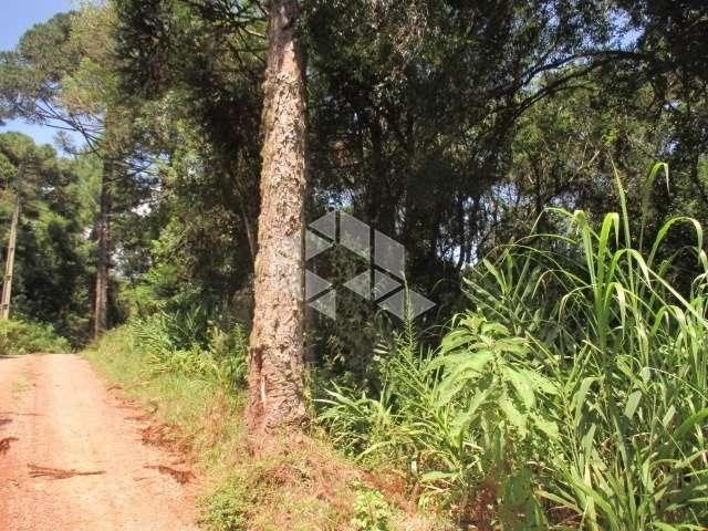 Sítio e chácara venda em Região Geográfica Imediata de Caxias do Sul, Nova Petrópolis