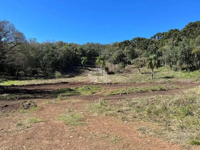 Sítio e chácara venda em Região Geográfica Imediata de Caxias do Sul, Nova Petrópolis