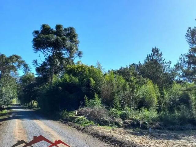 Sítio e chácara venda em Região Geográfica Imediata de Caxias do Sul, Nova Petrópolis