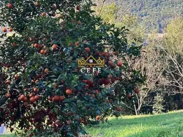 Sítio e chácara venda em Região Geográfica Imediata de Caxias do Sul, Nova Petrópolis