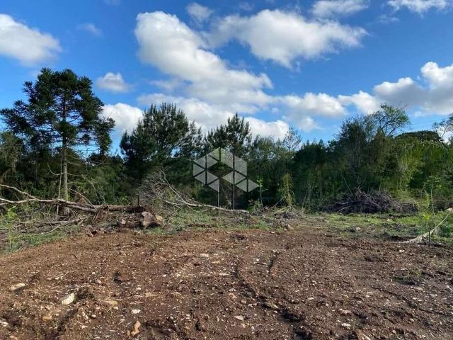 Sítio e chácara venda em Região Geográfica Imediata de Caxias do Sul, Nova Petrópolis