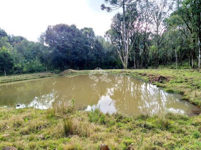 Sítio e chácara venda em Região Geográfica Imediata de Caxias do Sul, Nova Petrópolis