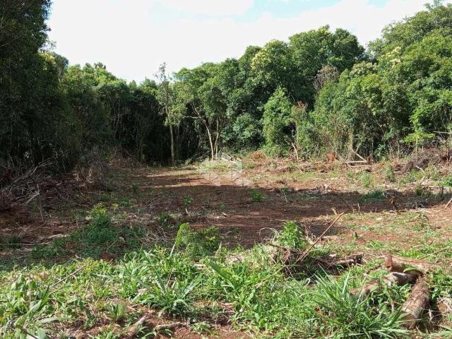 Sítio e chácara venda em Região Geográfica Imediata de Caxias do Sul, Nova Petrópolis