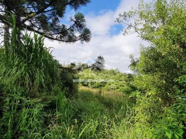 Sítio e chácara venda em Região Geográfica Imediata de Caxias do Sul, Nova Petrópolis