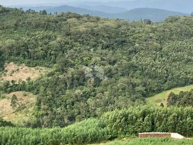 Sítio e chácara venda em Região Geográfica Imediata de Manaus, Itamarati