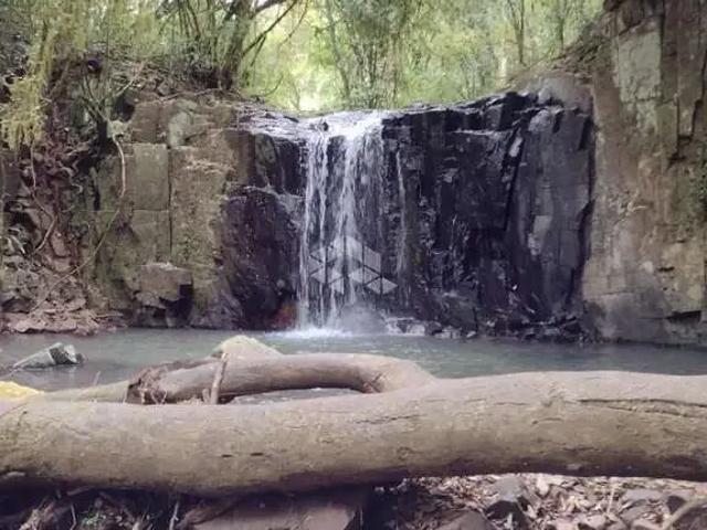 Sítio e chácara venda em Região Geográfica Imediata de Caxias do Sul, Nova Petrópolis