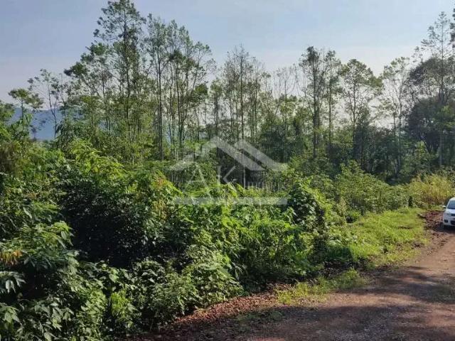 Sítio e chácara venda em Região Geográfica Imediata de Caxias do Sul, Nova Petrópolis