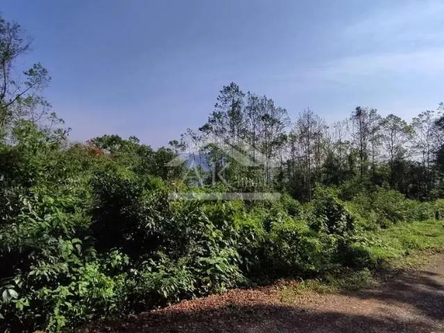 Sítio e chácara venda em Região Geográfica Imediata de Caxias do Sul, Nova Petrópolis