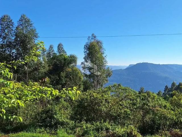 Sítio e chácara venda em Região Geográfica Imediata de Caxias do Sul, Nova Petrópolis