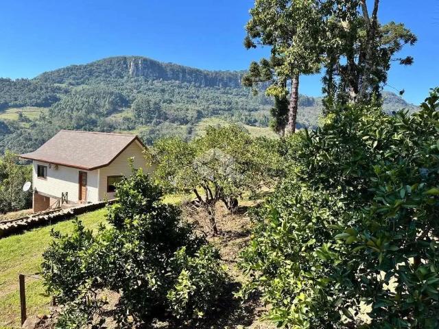 Sítio e chácara venda em Região Geográfica Imediata de Caxias do Sul, Nova Petrópolis