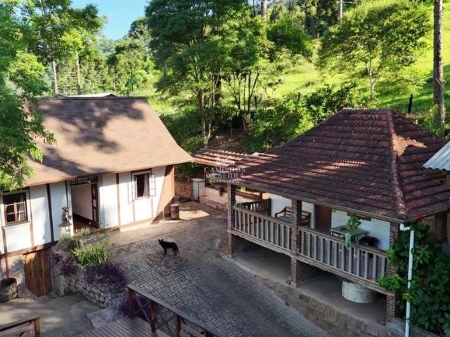 Sítio e chácara venda em Nova Petrópolis