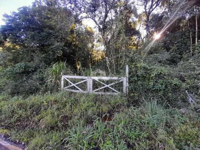 Sítio e chácara venda em Região Geográfica Imediata de Caxias do Sul, Nova Petrópolis