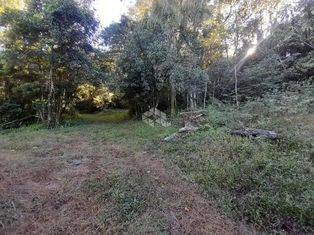 Sítio e chácara venda em Região Geográfica Imediata de Caxias do Sul, Nova Petrópolis