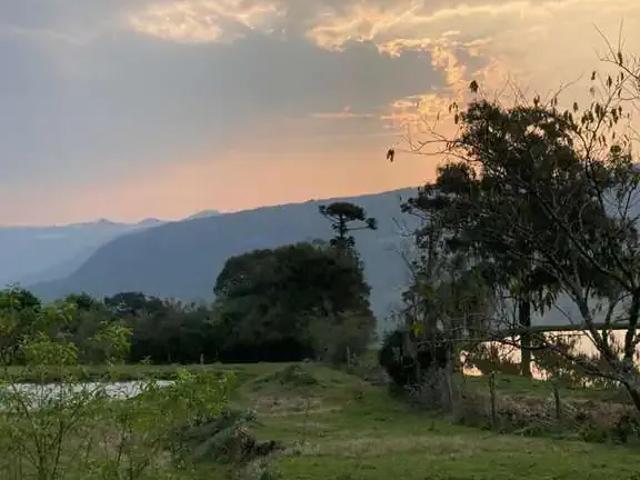 Sítio e chácara venda em Região Geográfica Imediata de Caxias do Sul, Nova Petrópolis