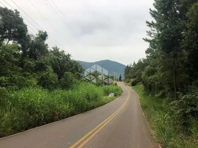 Sítio e chácara venda em Região Geográfica Imediata de Caxias do Sul, Nova Petrópolis