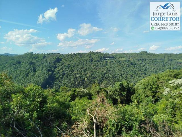 Sítio e chácara venda em Região Geográfica Imediata de Caxias do Sul, Nova Petrópolis