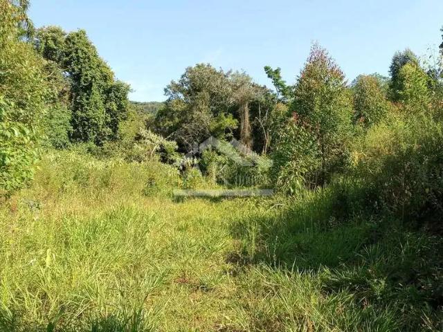 Sítio e chácara venda em Região Geográfica Imediata de Caxias do Sul, Nova Petrópolis