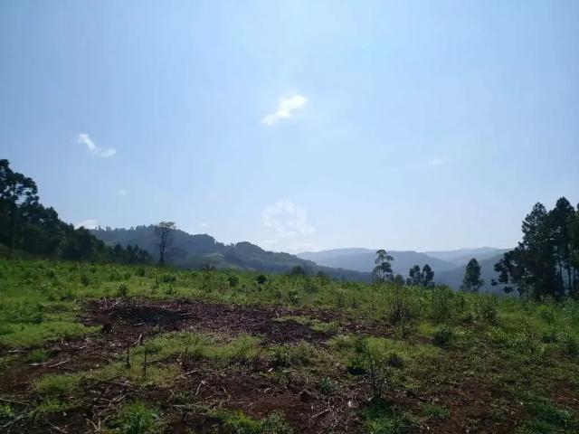 Sítio e chácara venda em Região Geográfica Imediata de Caxias do Sul, Nova Petrópolis