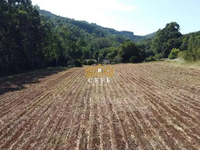 Sítio e chácara venda em Região Geográfica Imediata de Caxias do Sul, Nova Petrópolis