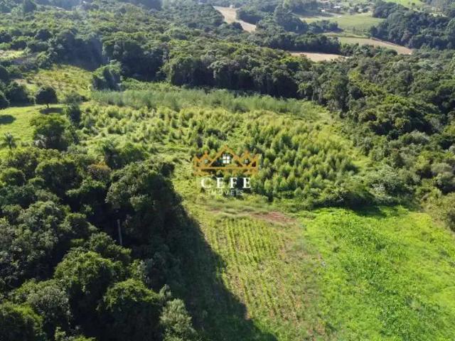 Sítio e chácara venda em Região Geográfica Imediata de Caxias do Sul, Nova Petrópolis