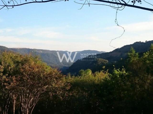 Sítio e chácara venda em Região Geográfica Imediata de Caxias do Sul, Nova Petrópolis