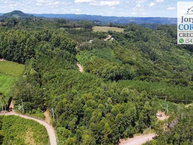 Sítio e chácara venda em Região Geográfica Imediata de Caxias do Sul, Nova Petrópolis