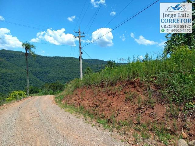 Sítio e chácara venda em Região Geográfica Imediata de Caxias do Sul, Nova Petrópolis