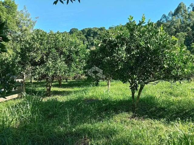 Sítio e chácara venda em Região Geográfica Imediata de Caxias do Sul, Nova Petrópolis